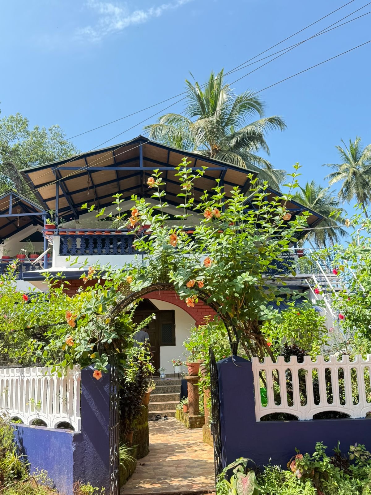 fd271b64-6631-498a-9bdf-d57b6c3fbf2b